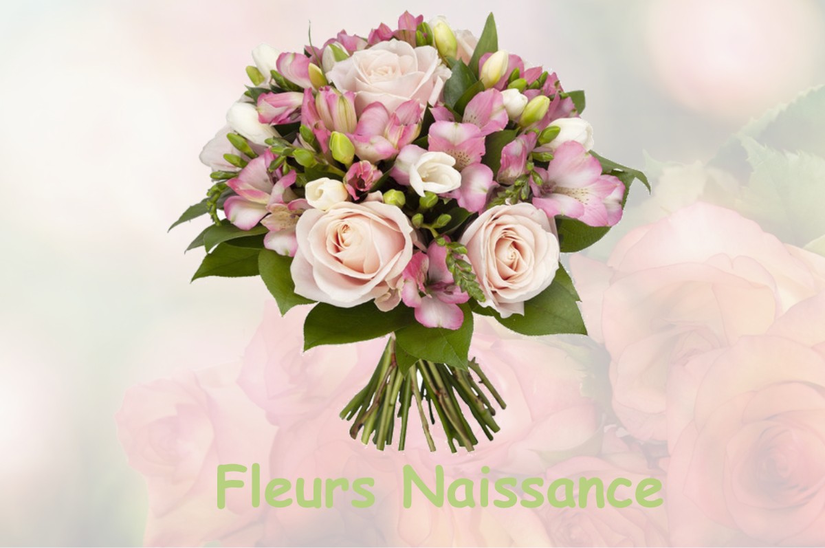 fleurs naissance FELINES-SUR-RIMANDOULE