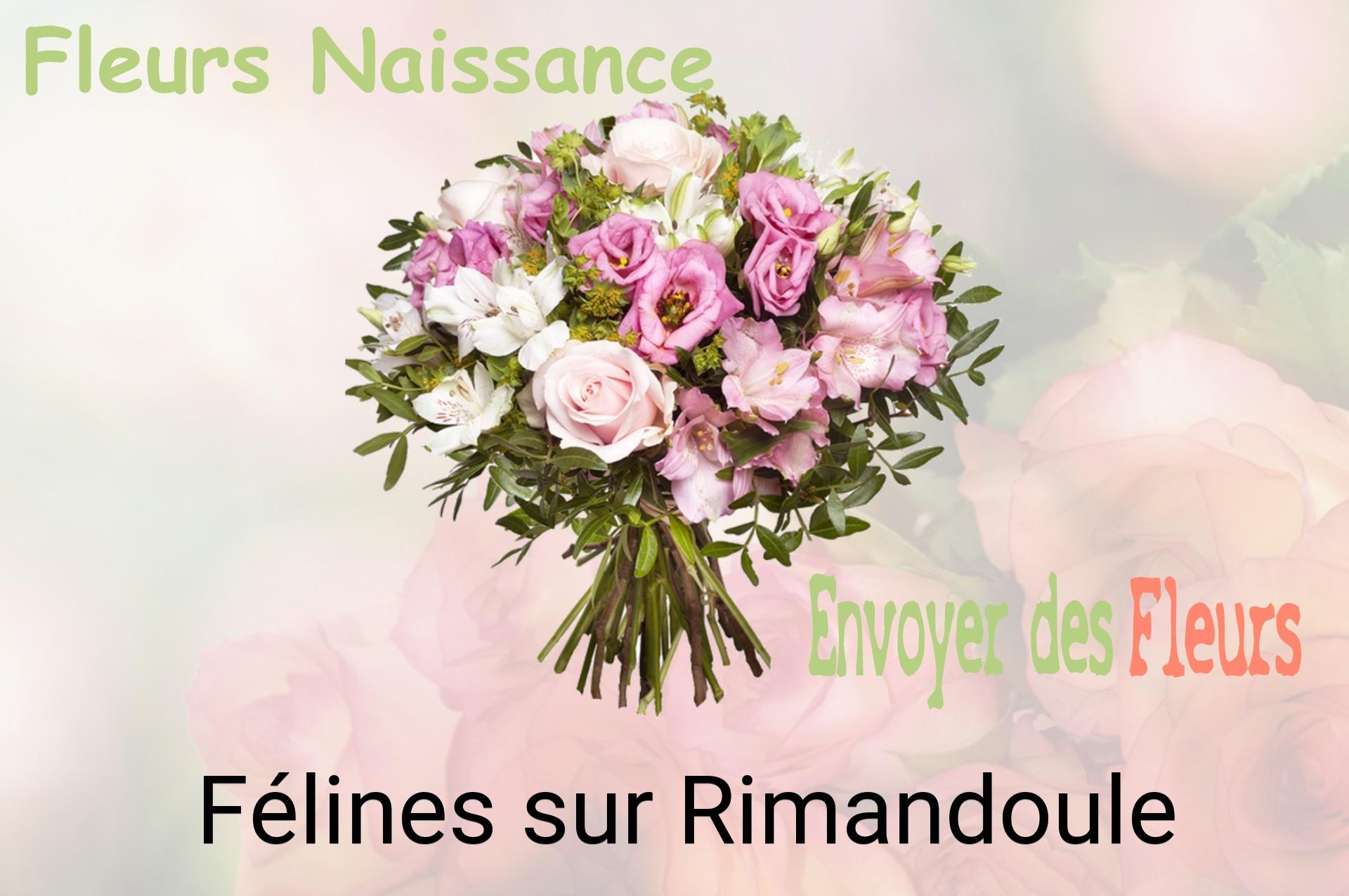 Bouquet de fleurs de naissance livré à Félines-sur-Rimandoule