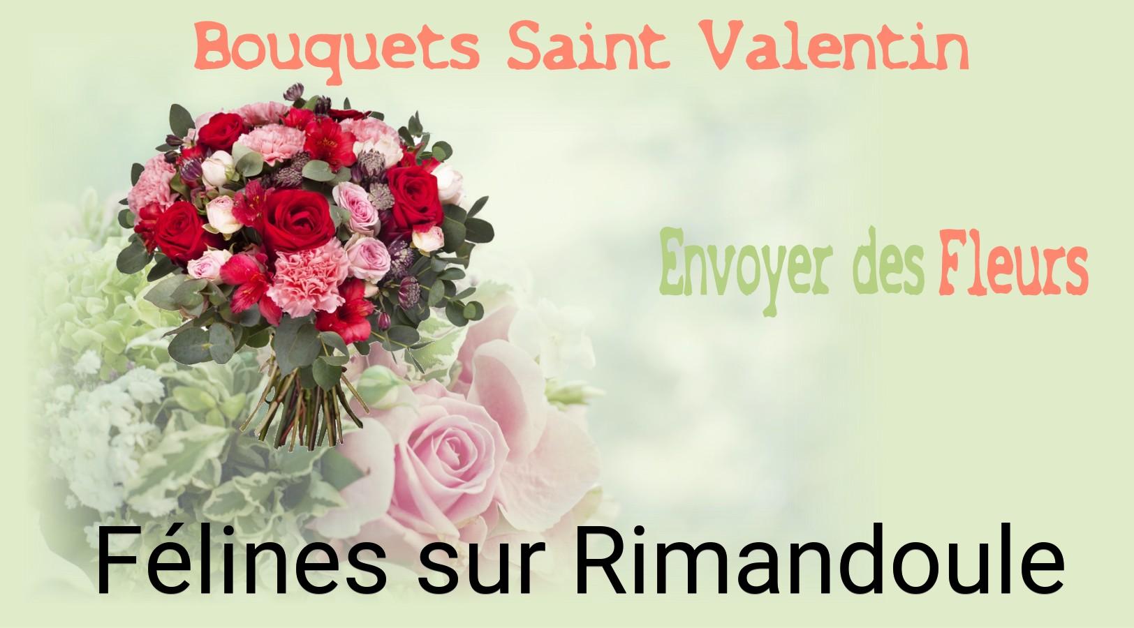 Roses de Saint-Valentin livrées à Félines-sur-Rimandoule