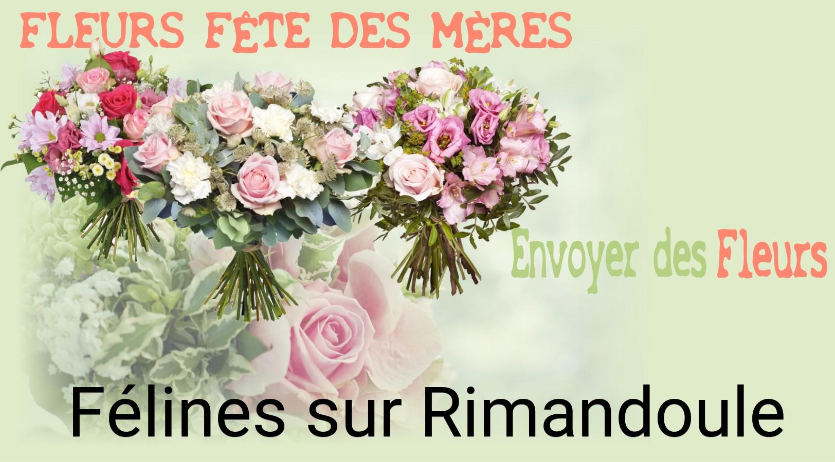 Bouquet de Fête des Mères livré à Félines-sur-Rimandoule